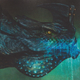 Illustration for article titled Late-Night Pacific Rim Theories from the House of Hatrack